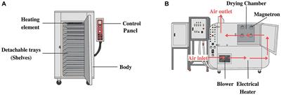 Quality and bioactive compound accumulation in two holy basil cultivars as affected by microwave-assisted hot air drying at an industrial scale